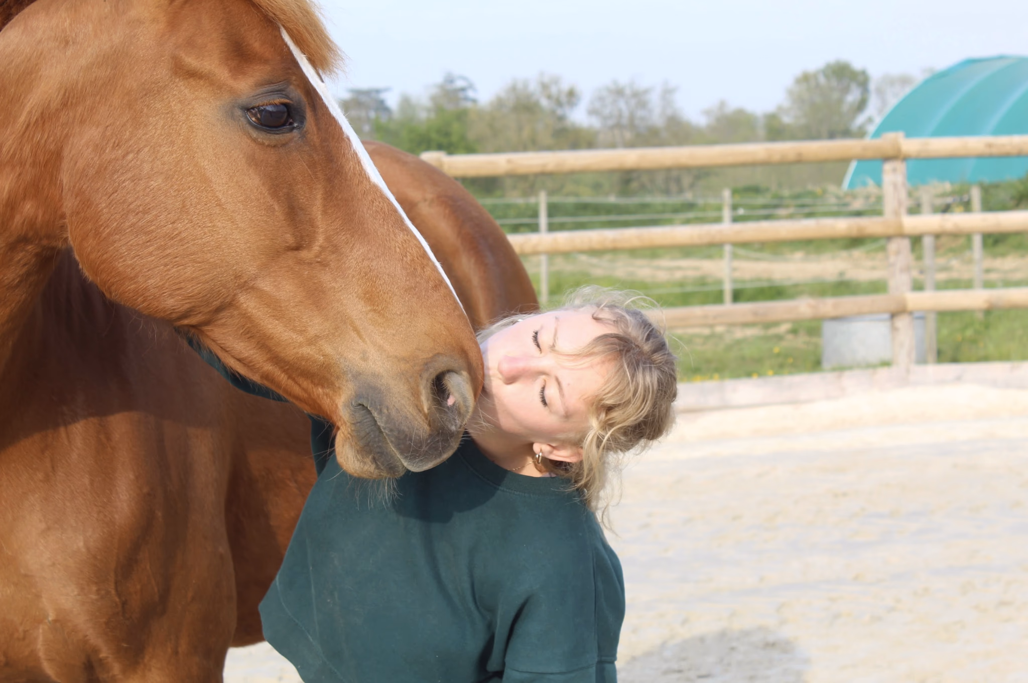 Audrey Lecomte, ostéopathe équin, front contre la tête d'un cheval alezan en carrière
